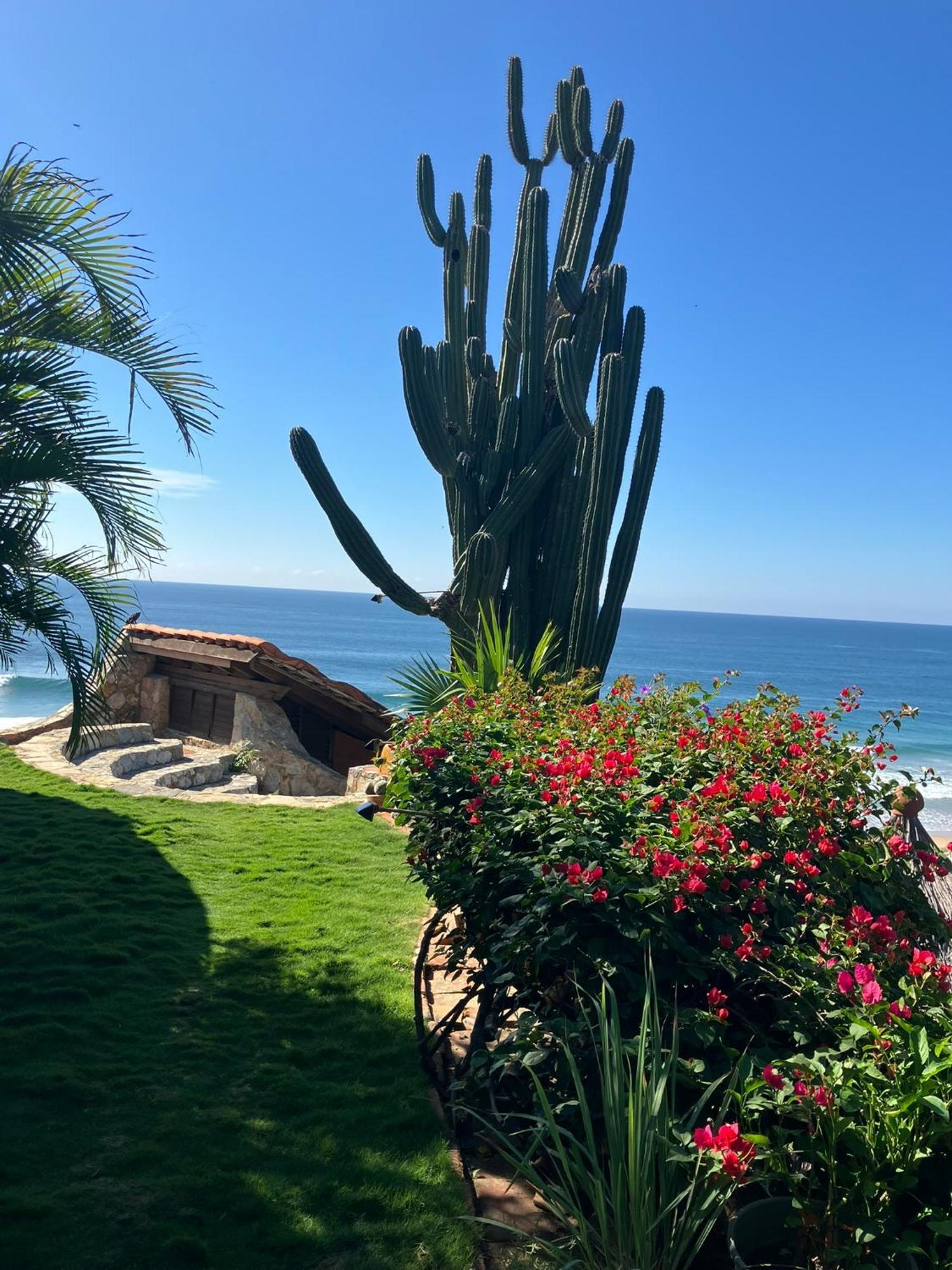 La Loma Linda, Bungalows, Yoga And Feldenkrais, Starlink Internet Зиполите Экстерьер фото