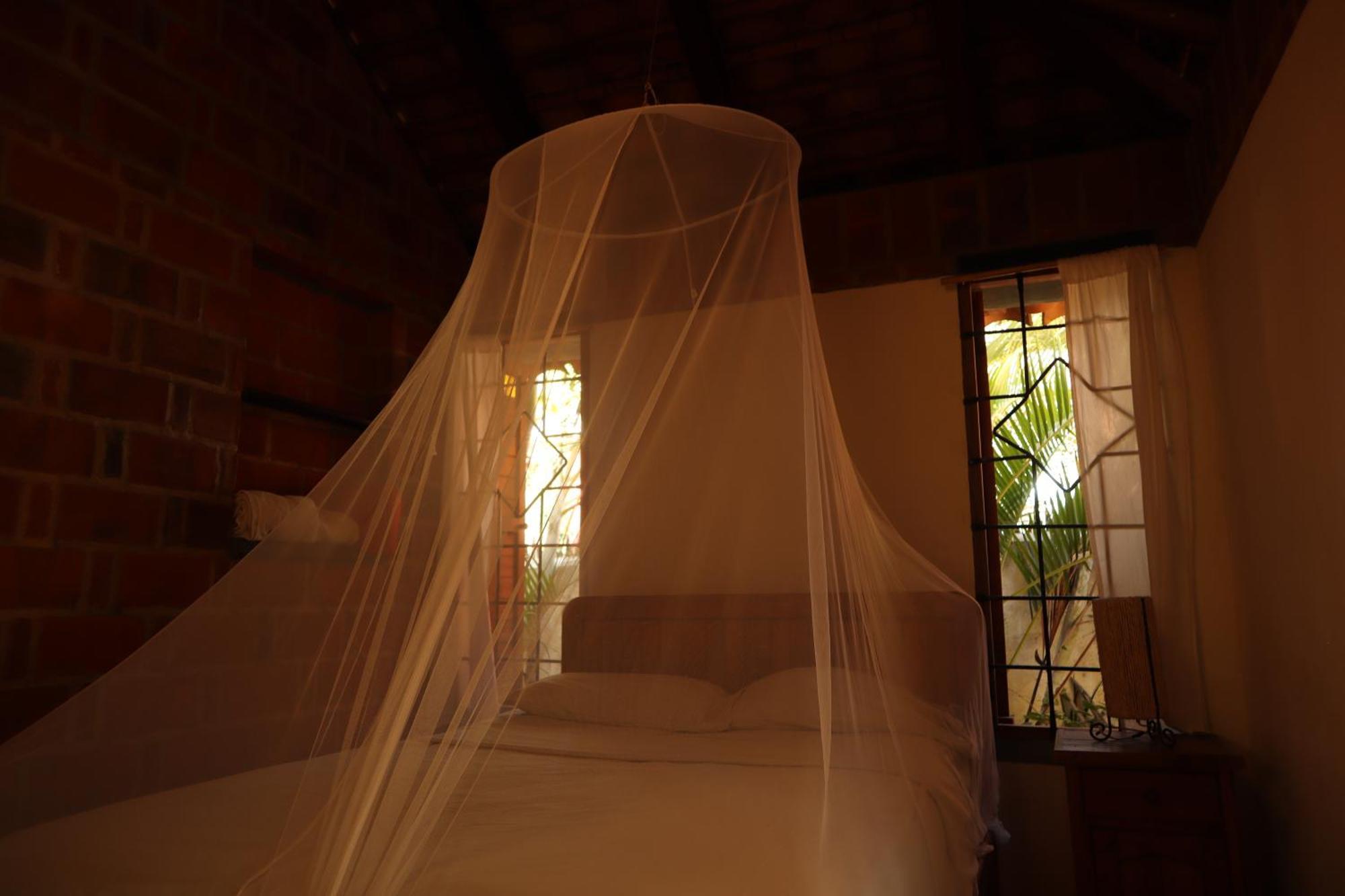 La Loma Linda, Bungalows, Yoga And Feldenkrais, Starlink Internet Зиполите Экстерьер фото