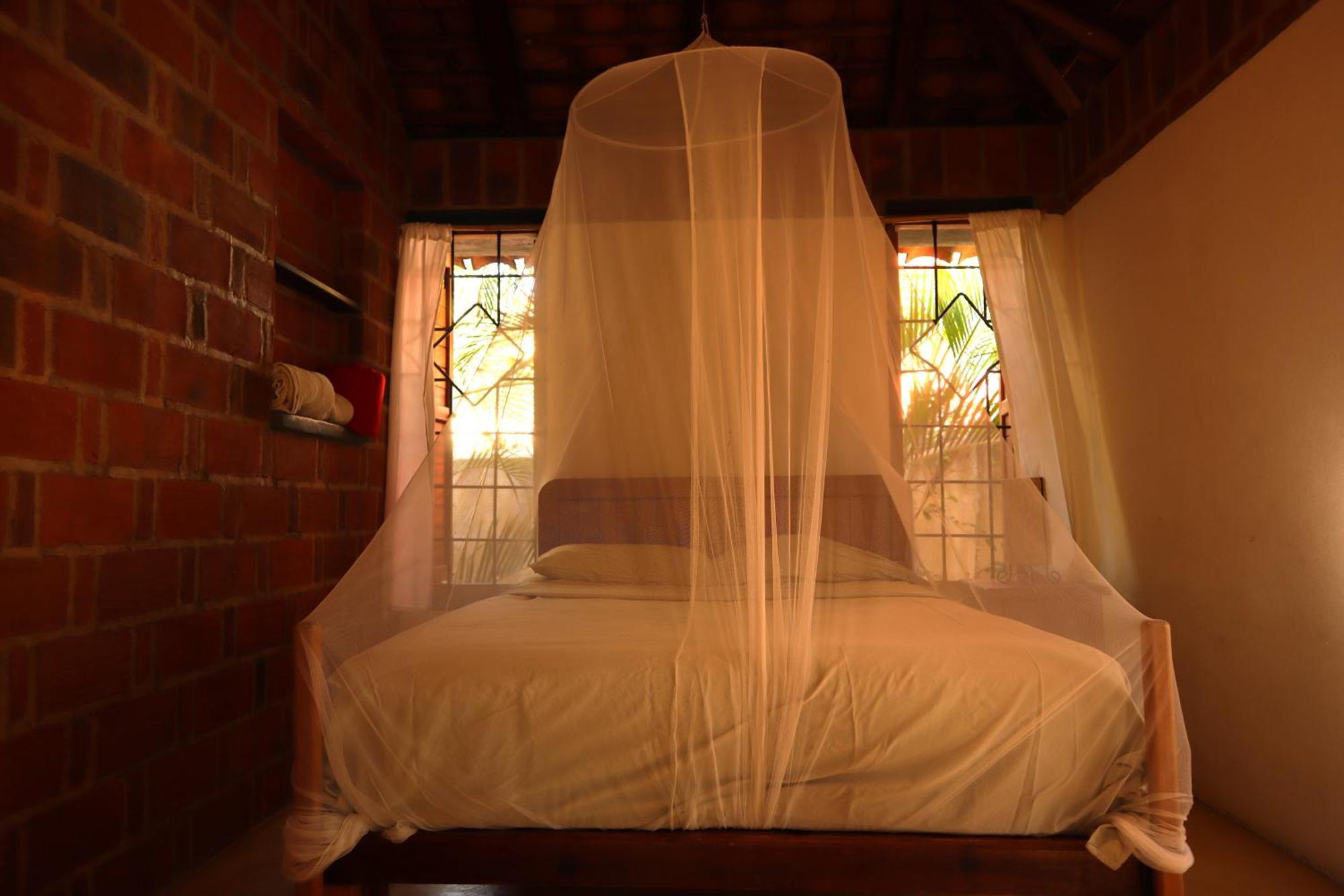 La Loma Linda, Bungalows, Yoga And Feldenkrais, Starlink Internet Зиполите Экстерьер фото
